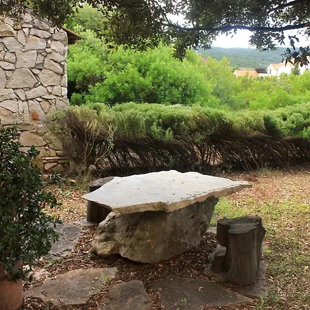 Daire Mirca 10197c Lovište